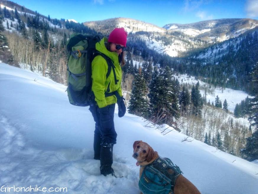 Backpacking with Dogs, Hiking in Utah with Dogs