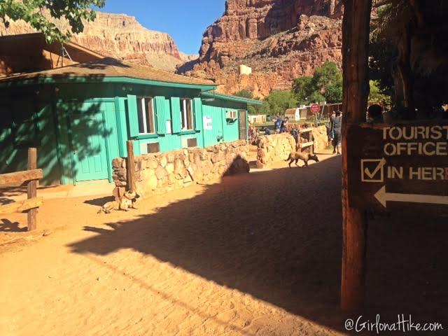 Hiking to Havasu Falls, Arizona