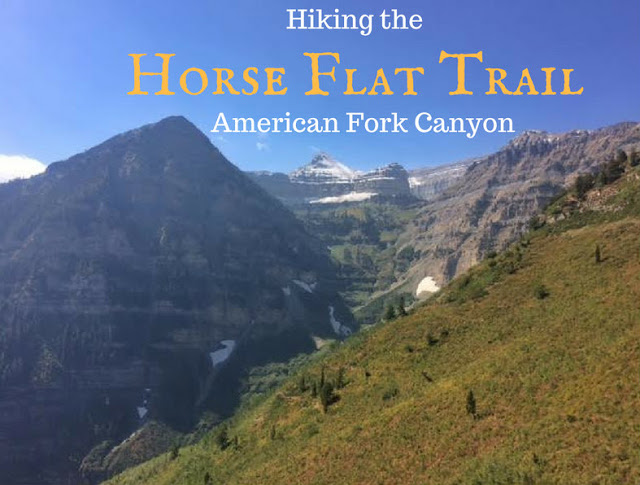 The Top 10 Hikes in American Fork Canyon, American fork canyon best hikes and trails, best views in American fork canyon, Horse Flat Trail, Primrose Overlook trail