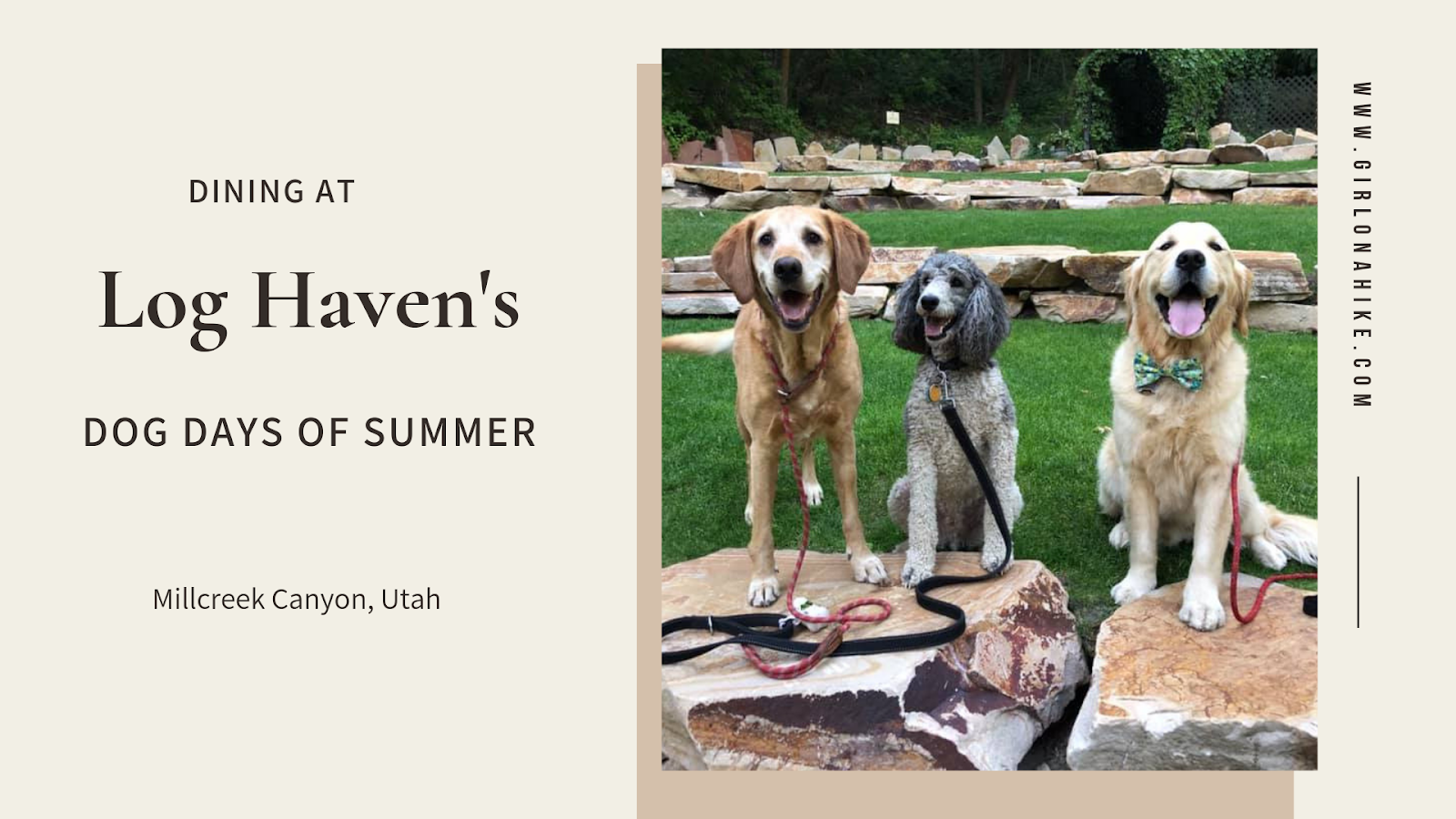 Dining at Log Haven's Dog Days of Summer