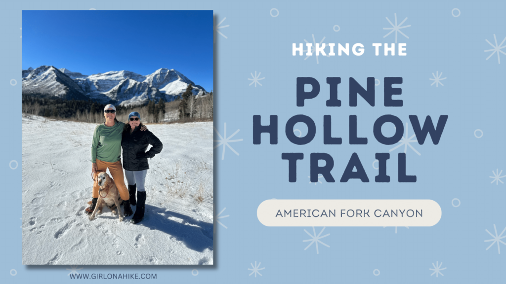 Hiking the Pine Hollow Trail