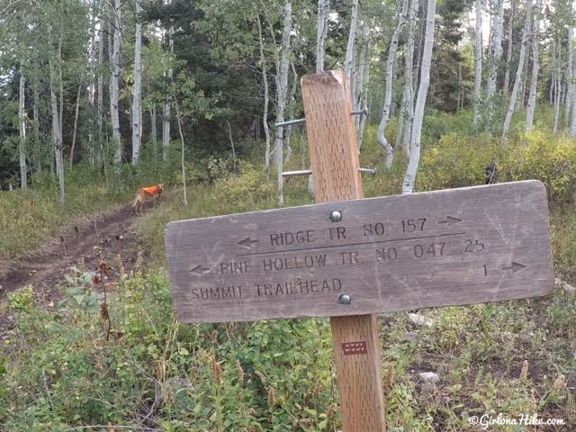 Hiking to the Pine Hollow Overlook, American Fork Canyon