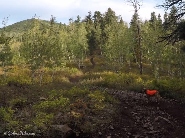 Hiking to the Pine Hollow Overlook, American Fork Canyon