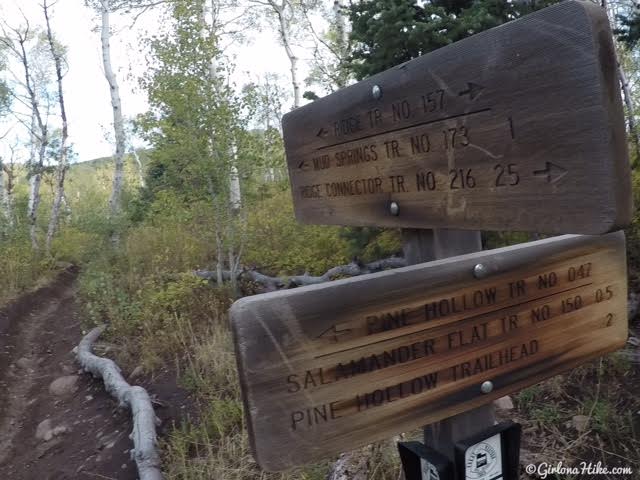 Hiking to the Pine Hollow Overlook, American Fork Canyon