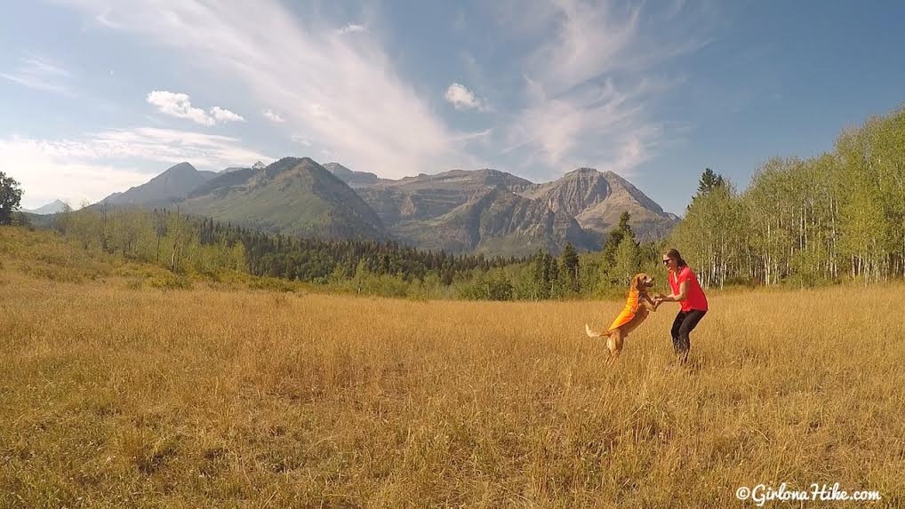 Hiking to the Pine Hollow Overlook, American Fork Canyon