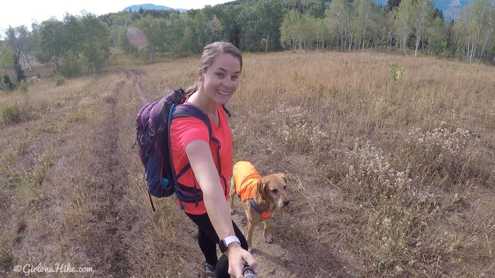 Hiking to the Pine Hollow Overlook, American Fork Canyon