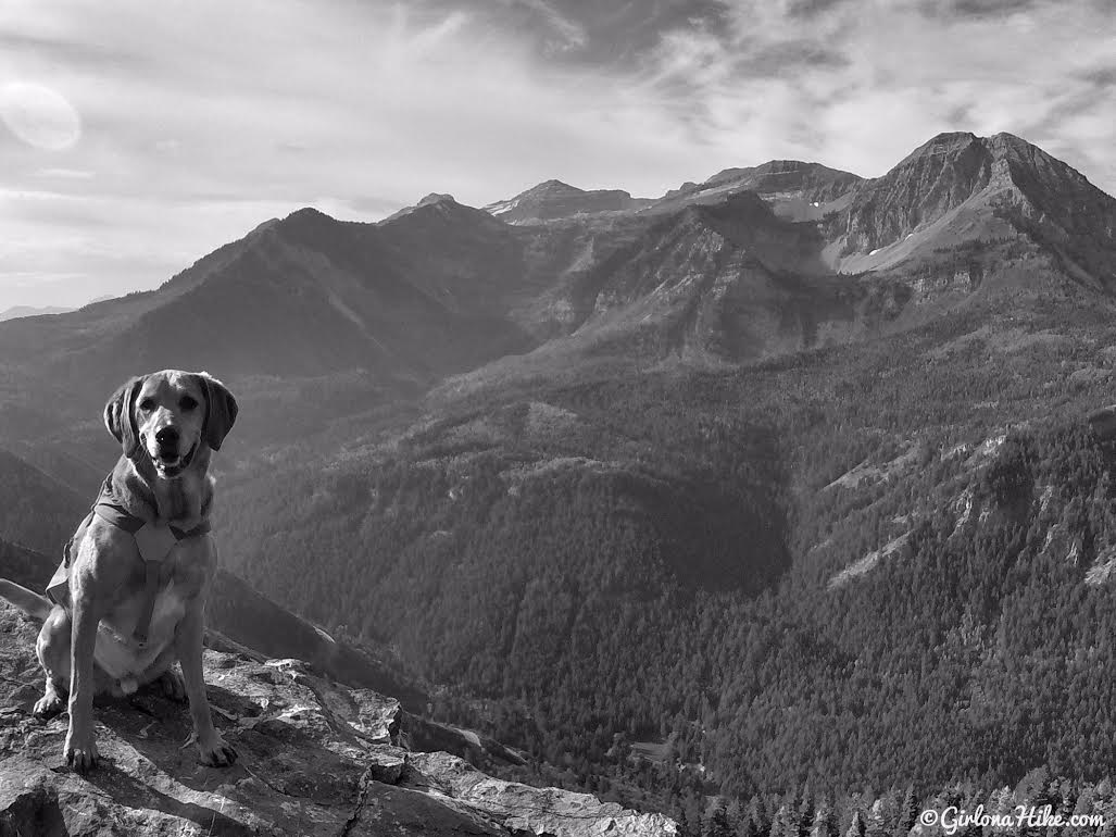 Hiking to the Pine Hollow Overlook, American Fork Canyon