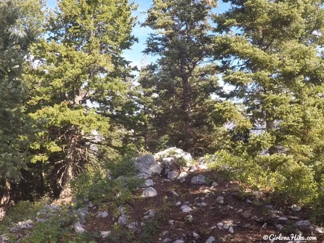 Hiking to the Pine Hollow Overlook, American Fork Canyon