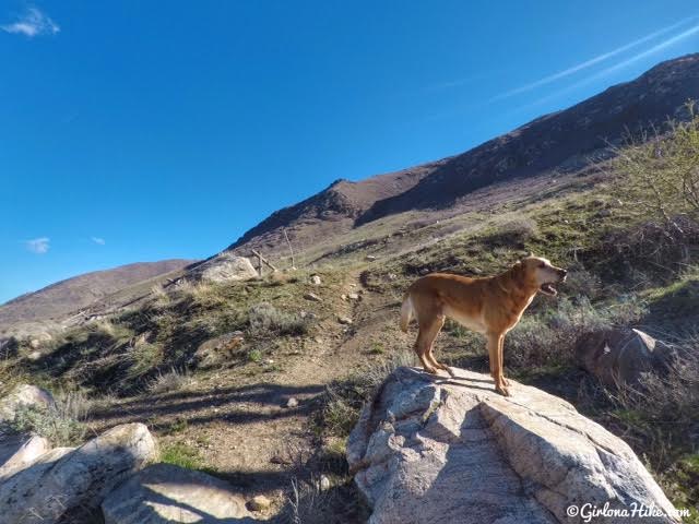 Hiking to Flag Rock in Farmington, Utah