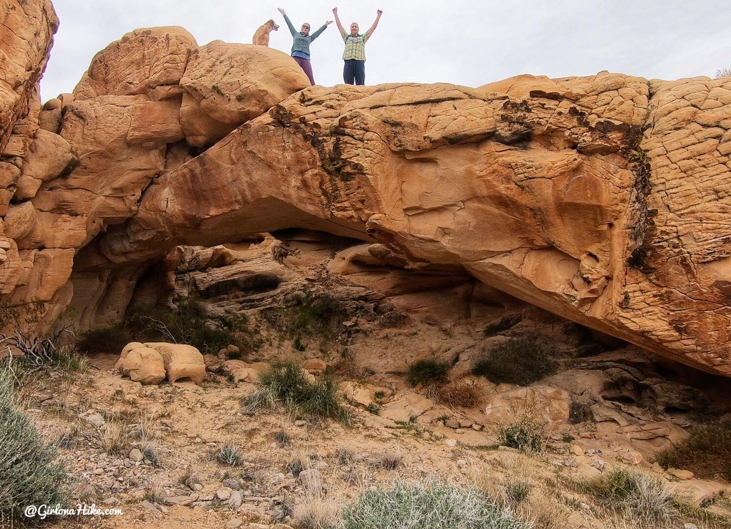 Hiking at Gold Butte National Monument, Hiking in Nevada with Dogs, hiking outside las vegas