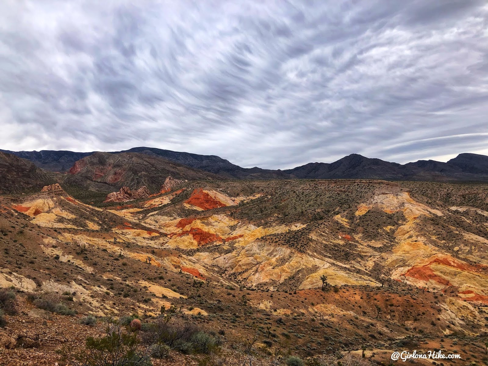 Hiking at Gold Butte National Monument, Hiking in Nevada with Dogs, hiking outside las vegas