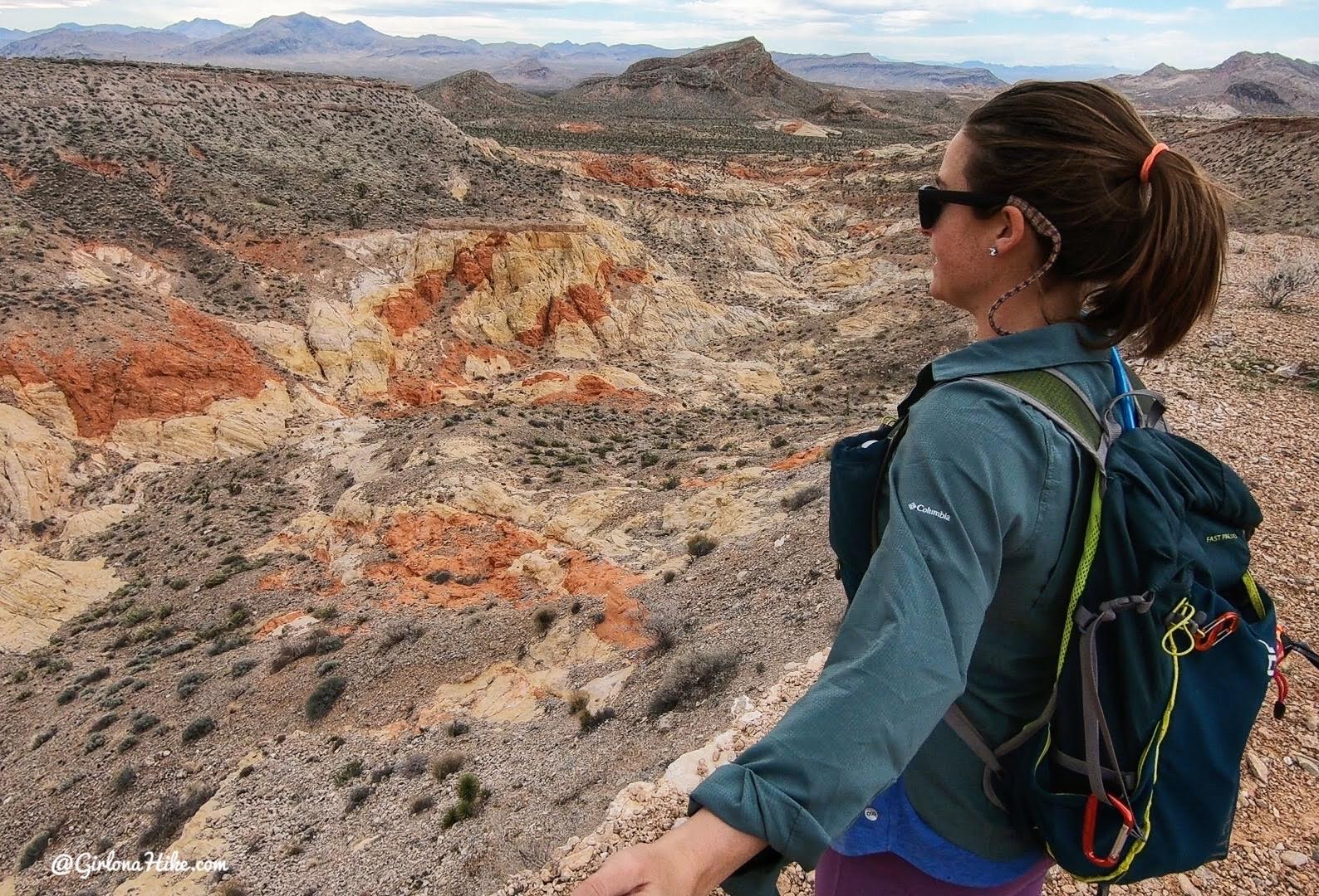 Hiking at Gold Butte National Monument, Hiking in Nevada with Dogs, hiking outside las vegas