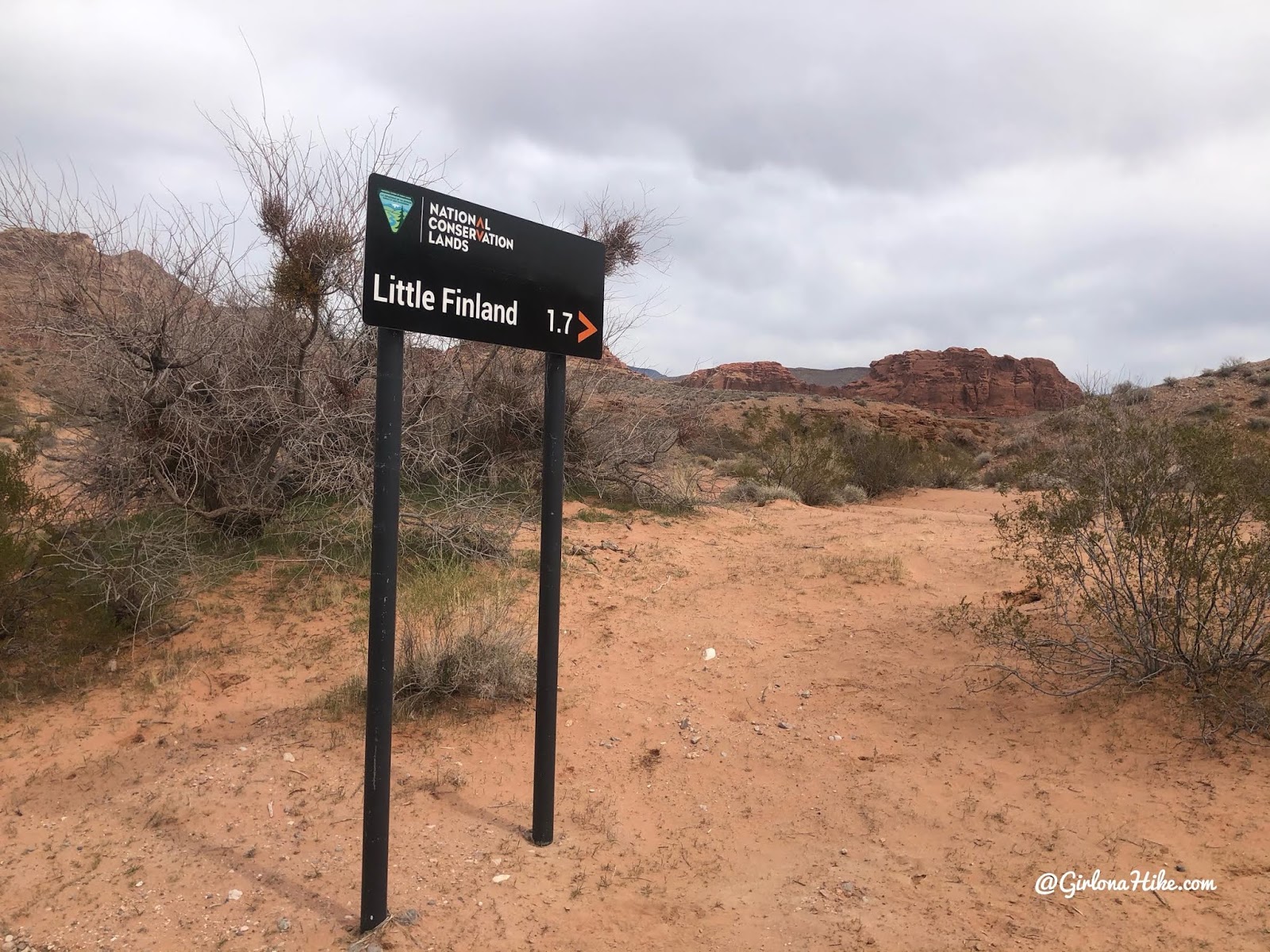 Hiking at Gold Butte National Monument, Hiking in Nevada with Dogs, hiking outside las vegas, little finland