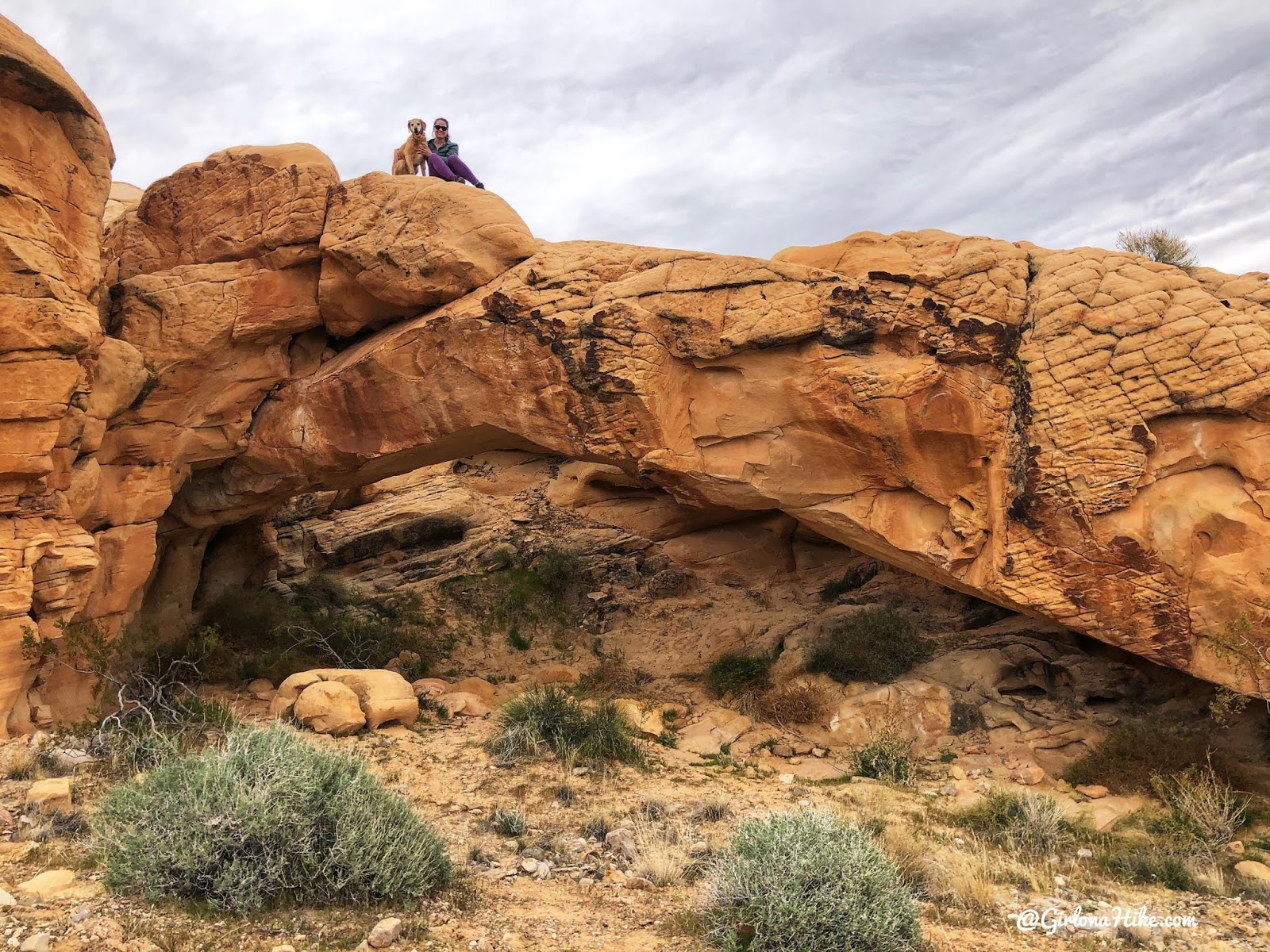 Hiking at Gold Butte National Monument, Hiking in Nevada with Dogs, hiking outside las vegas