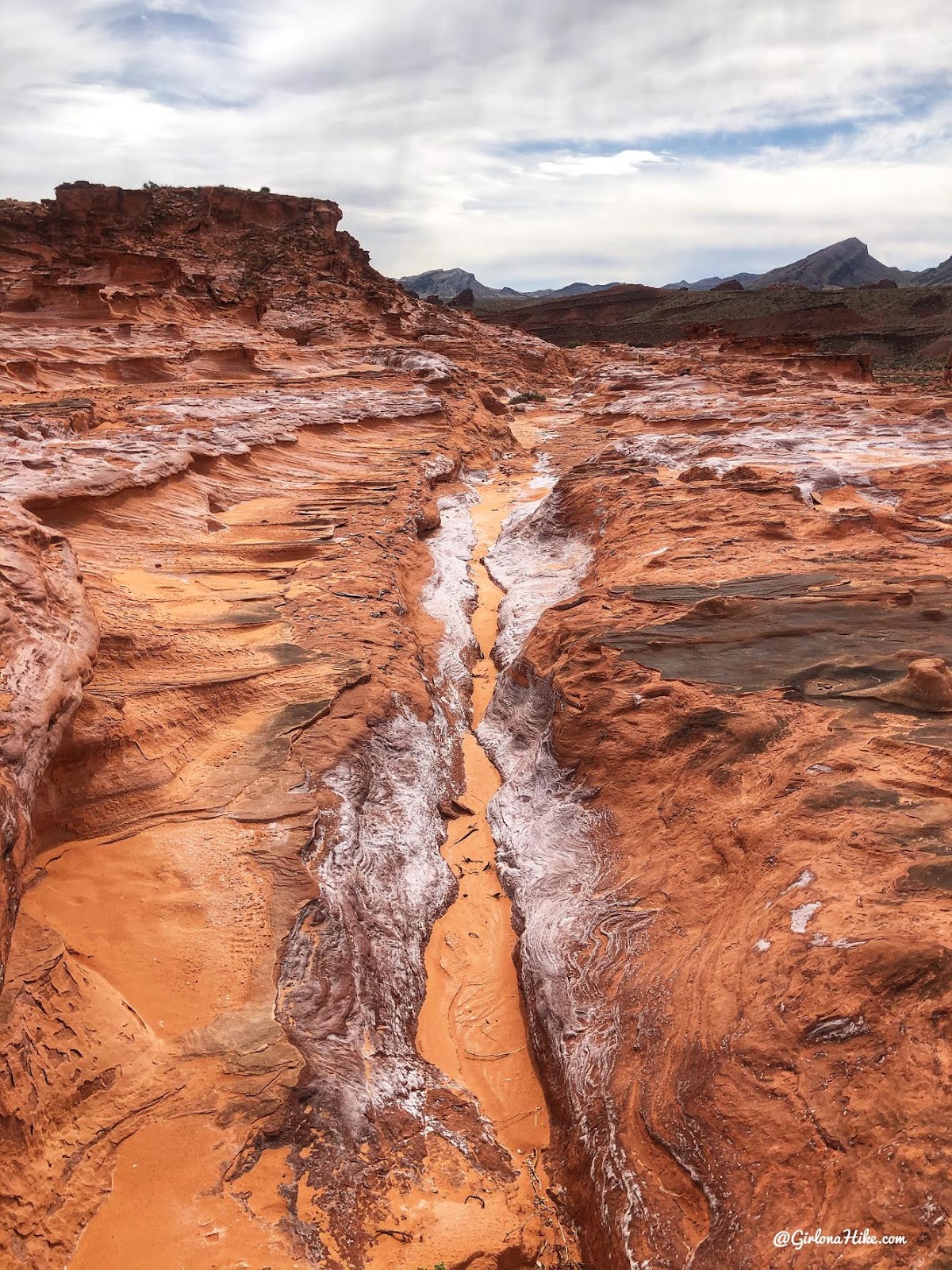 Hiking at Gold Butte National Monument, Hiking in Nevada with Dogs, hiking outside las vegas, little finland