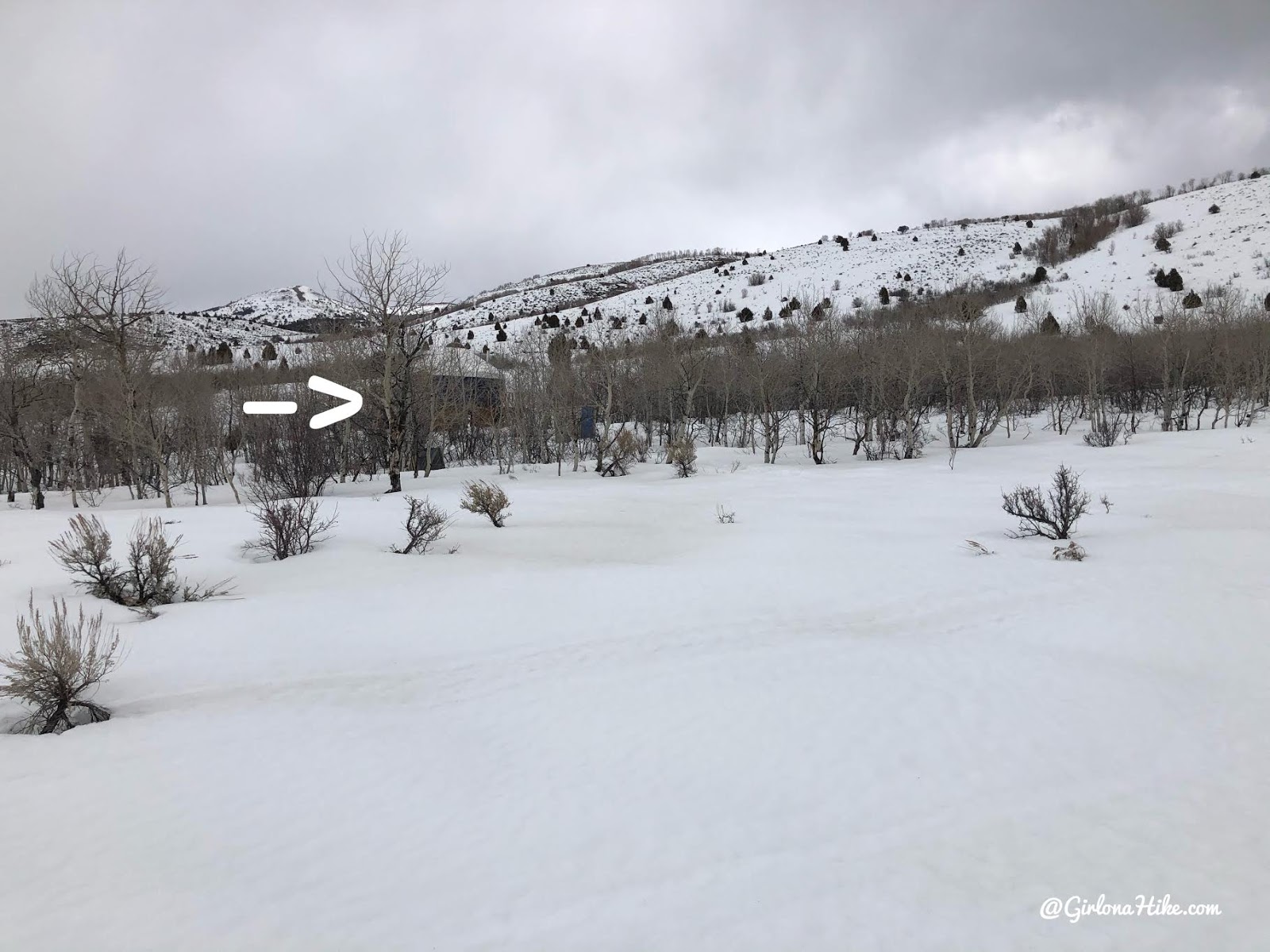 Monte Cristo Yurt, Yurts of Utah, Utah Yurts