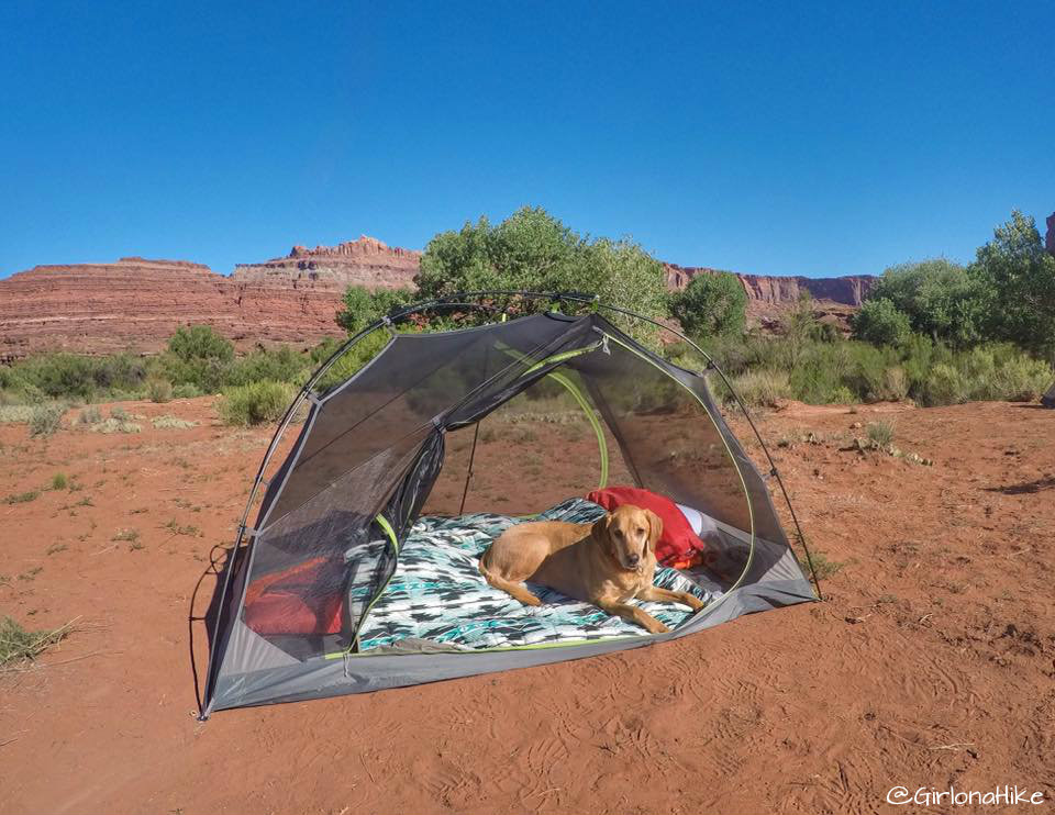 6 Tips to Keep Your Dog Warm while Camping