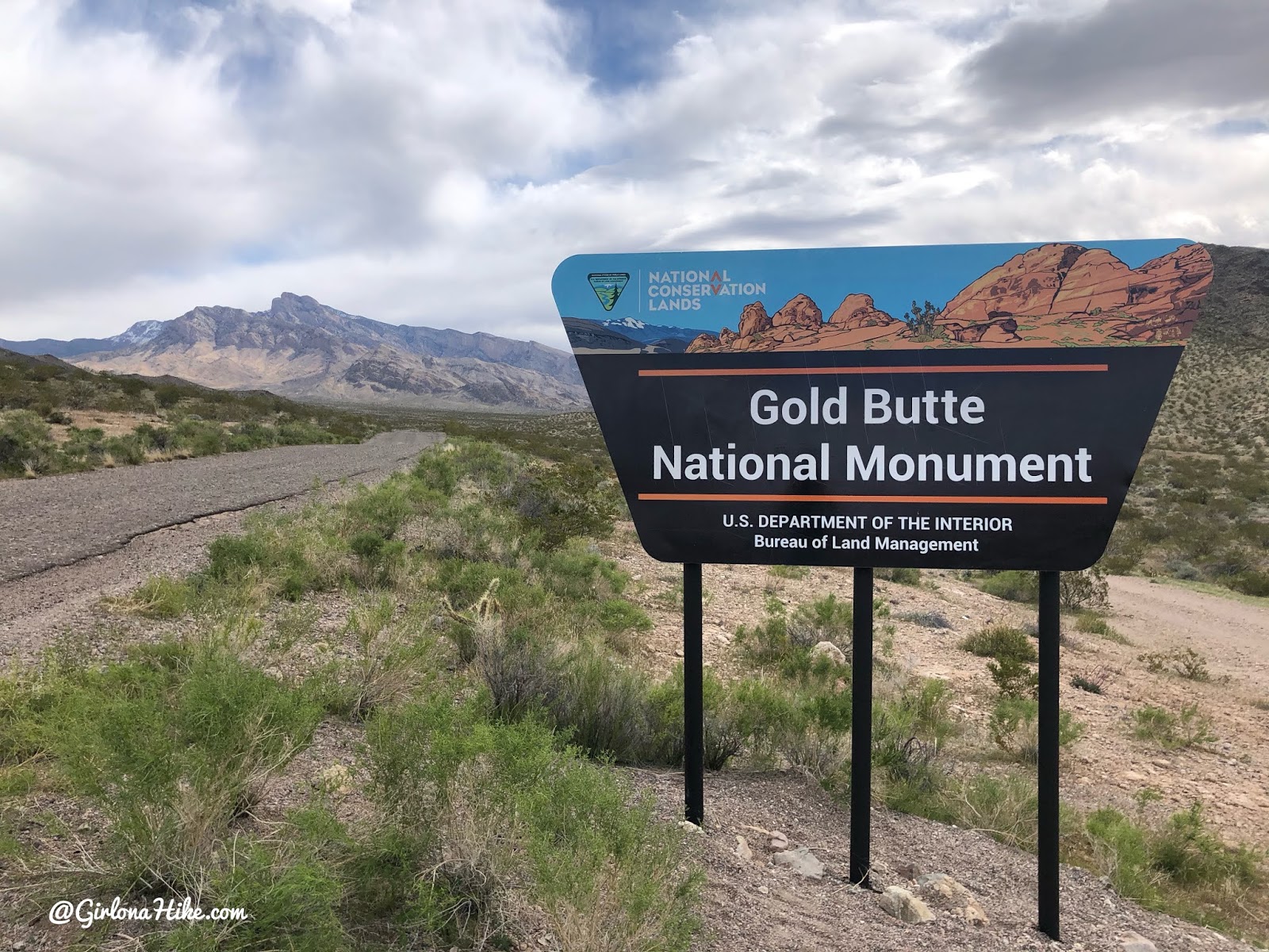 Hiking at Gold Butte National Monument, Hiking in Nevada with Dogs, hiking outside las vegas