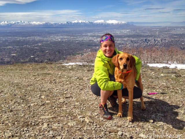 Hiking the South Ridge to Mt. Wire, Hiking in Utah with Dogs