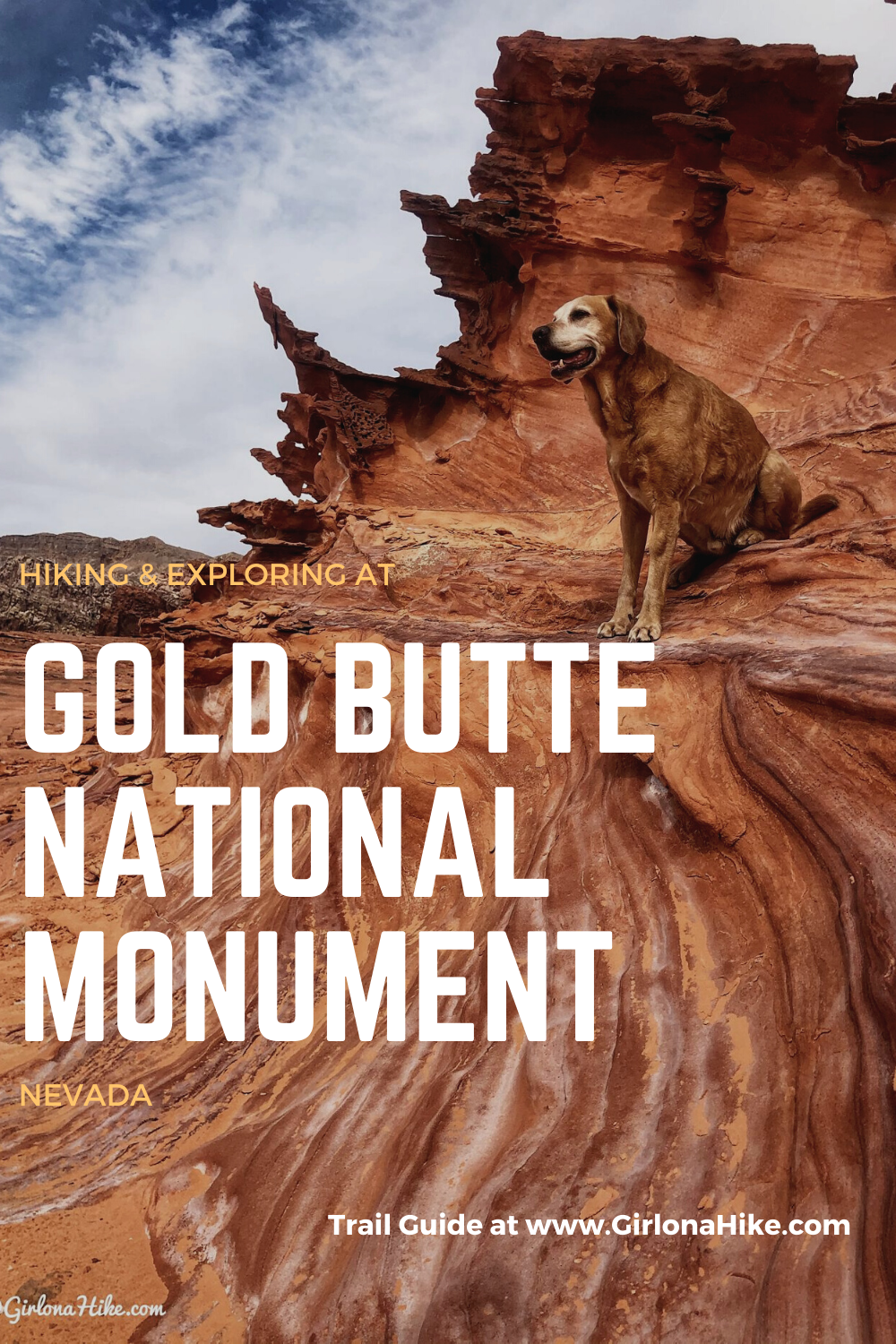 Hiking at Gold Butte National Monument, Hiking in Nevada with Dogs, hiking outside las vegas