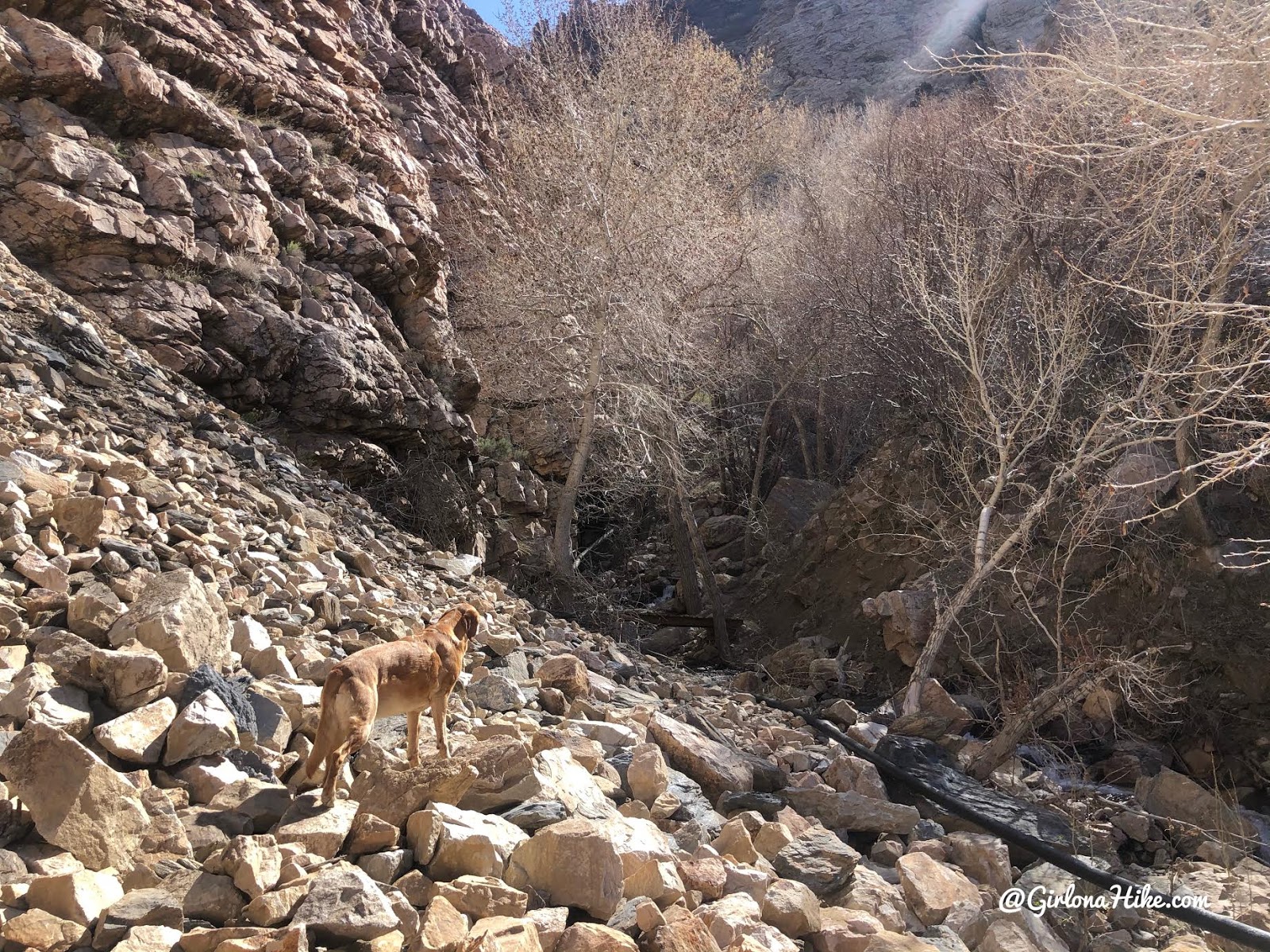 Hiking Willard Canyon to Falls, hiking willard creek