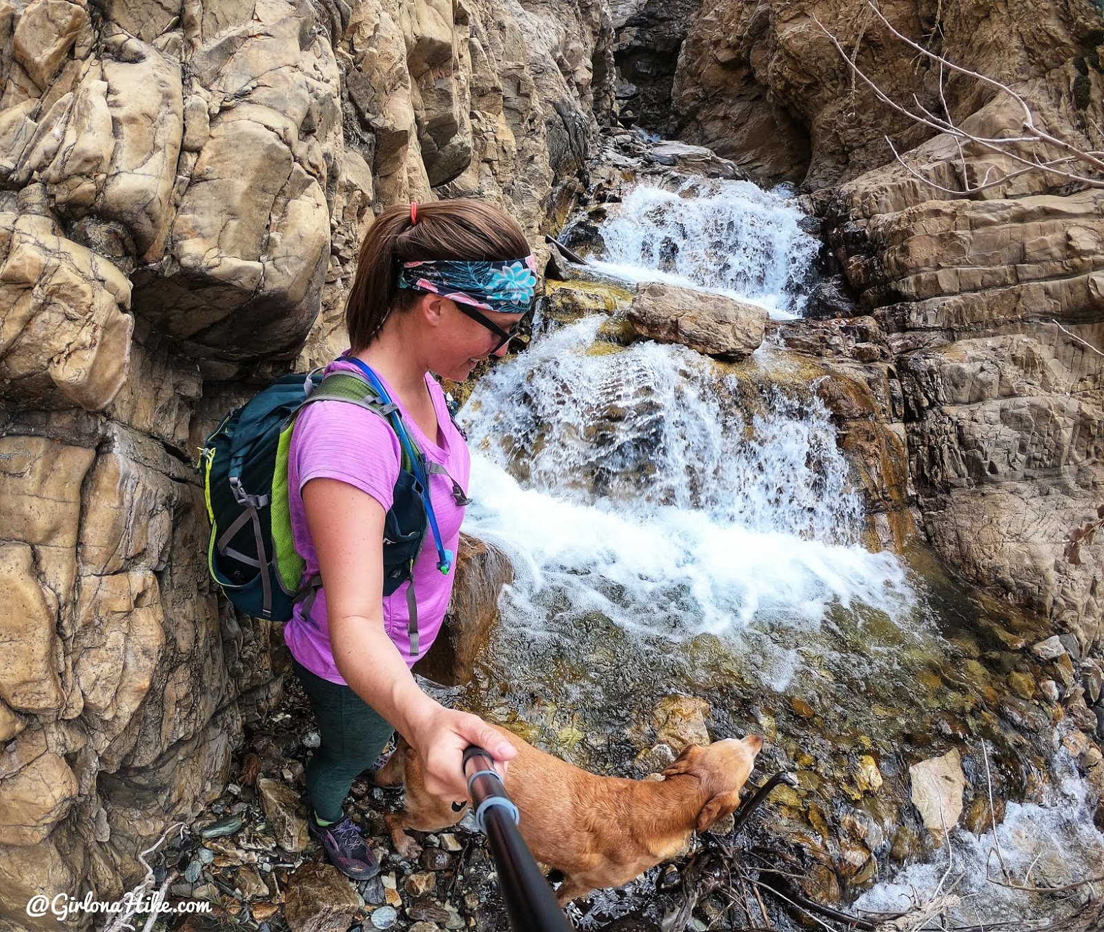 Hiking Willard Canyon to Falls, hiking willard creek