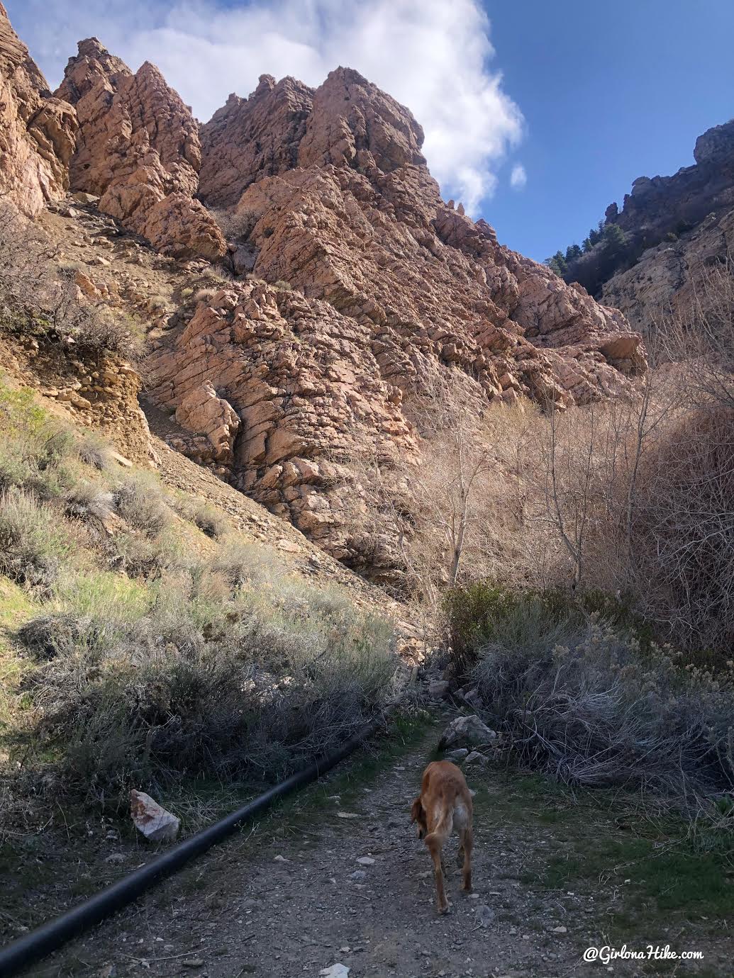 Hiking Willard Canyon to Falls, hiking willard creek