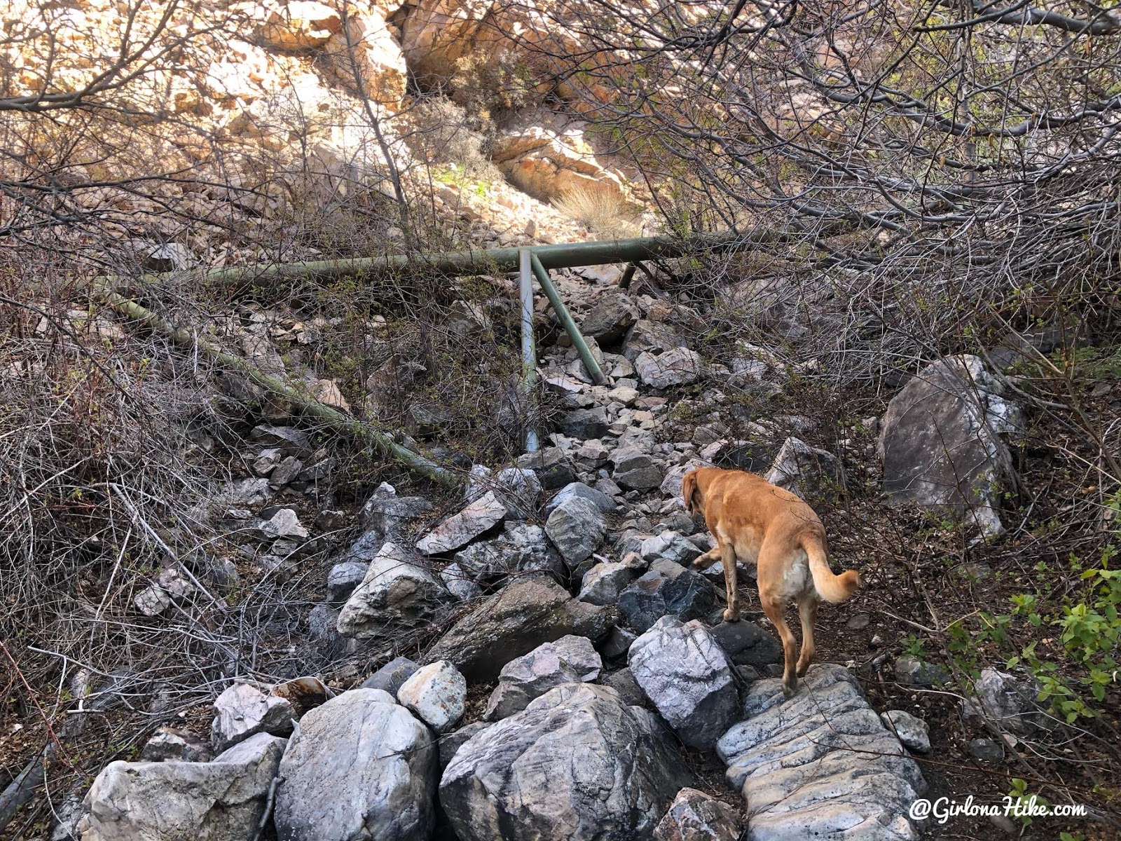 Hiking Willard Canyon to Falls, hiking willard creek