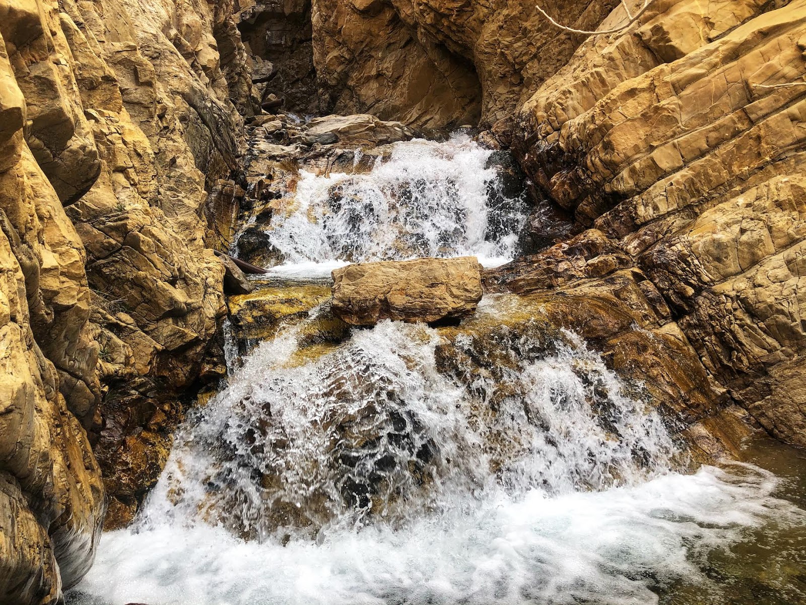 Hiking Willard Canyon to Falls, hiking willard creek