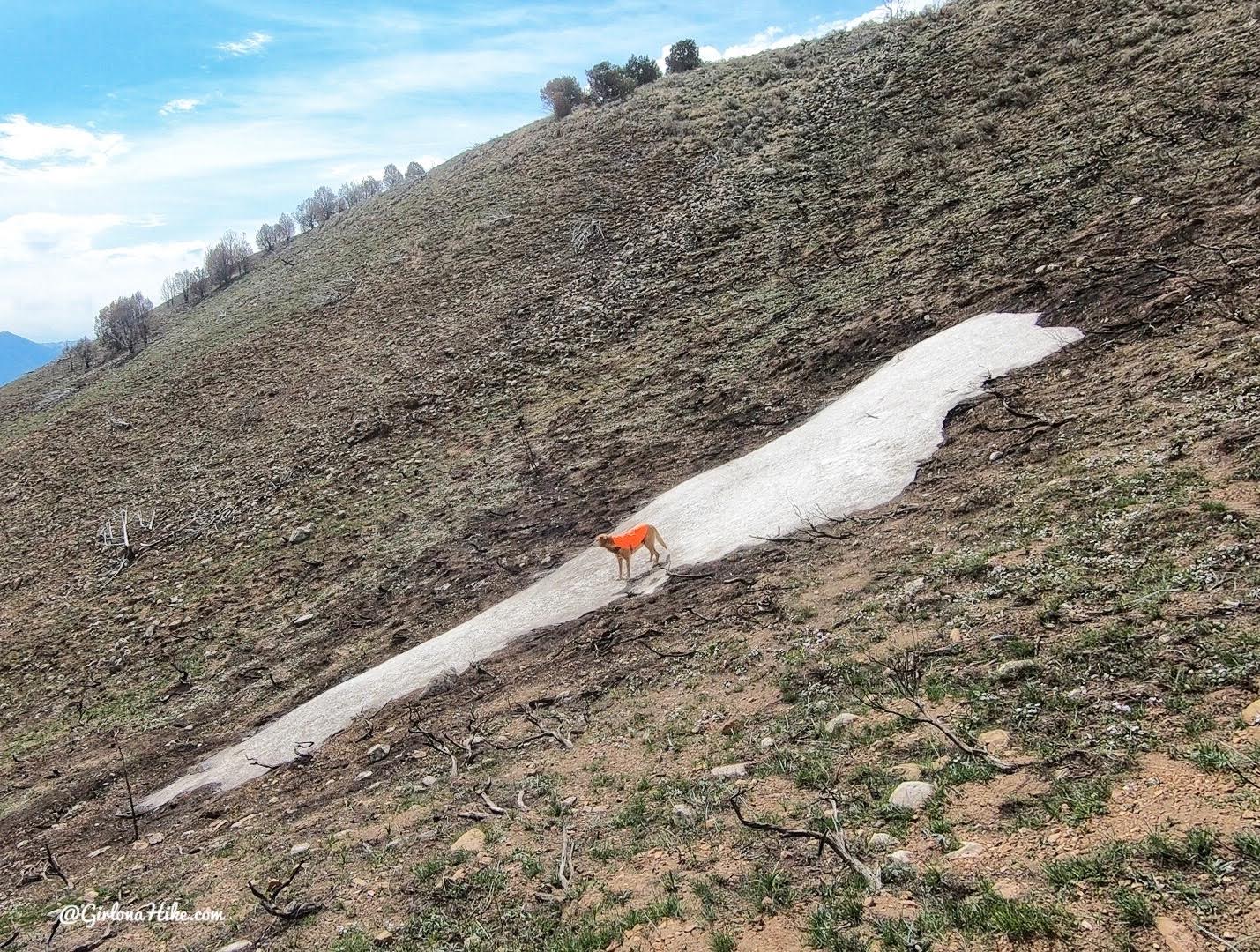 Hiking West Mountain (6,904 ft), Utah