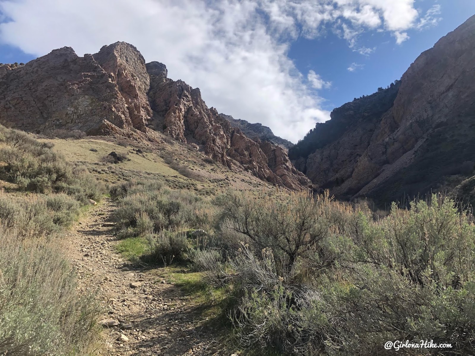 Hiking Willard Canyon to Falls, hiking willard creek