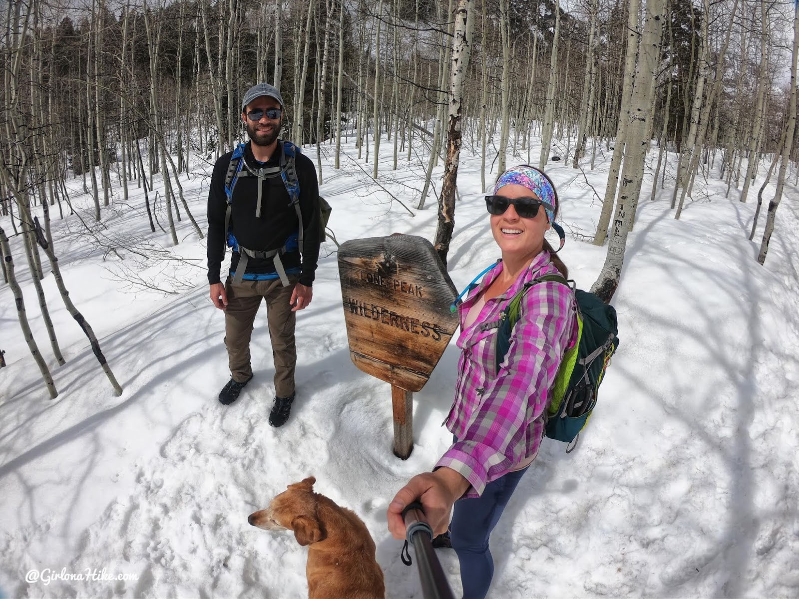 Hiking to Silver Lake and Silver Glance Lake, American Fork Canyon, Utah, Hiking in Utah with Dogs