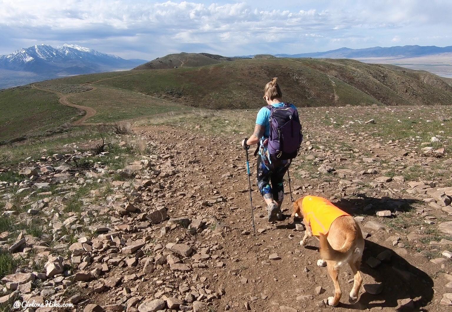 Hiking West Mountain (6,904 ft), Utah