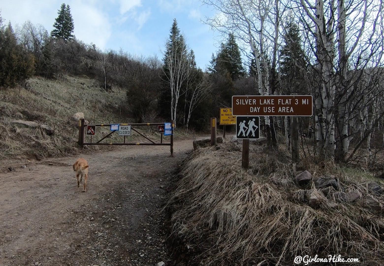 Hiking to Silver Lake and Silver Glance Lake, American Fork Canyon, Utah, Hiking in Utah with Dogs