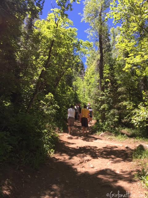 The Grotto Trail and Waterfall, Nebo Scenic Loop Road, Hiking in Utah with Dogs