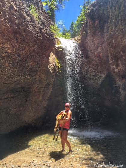 The Grotto Trail and Waterfall, Nebo Scenic Loop Road, Hiking in Utah with Dogs