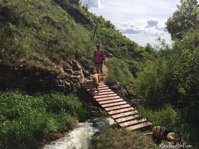 Davis Creek Waterfall, Davis Creek Trail, Hiking in Utah with Dogs
