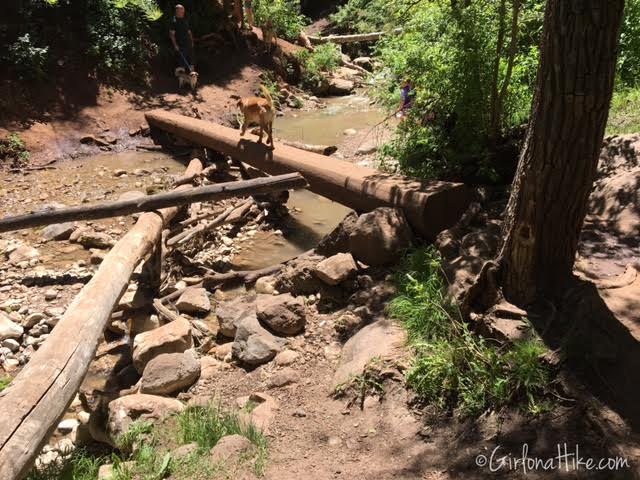 The Grotto Trail and Waterfall, Nebo Scenic Loop Road, Hiking in Utah with Dogs