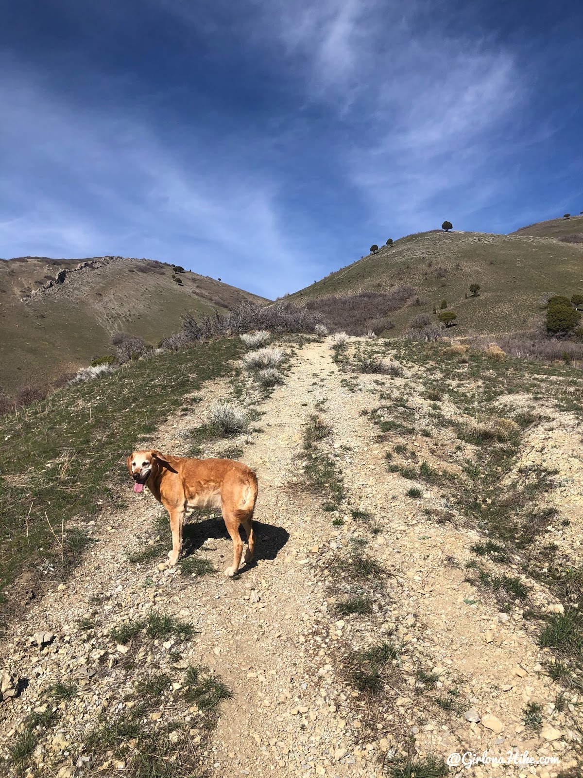 Hiking to Parley's Canyon Overlook