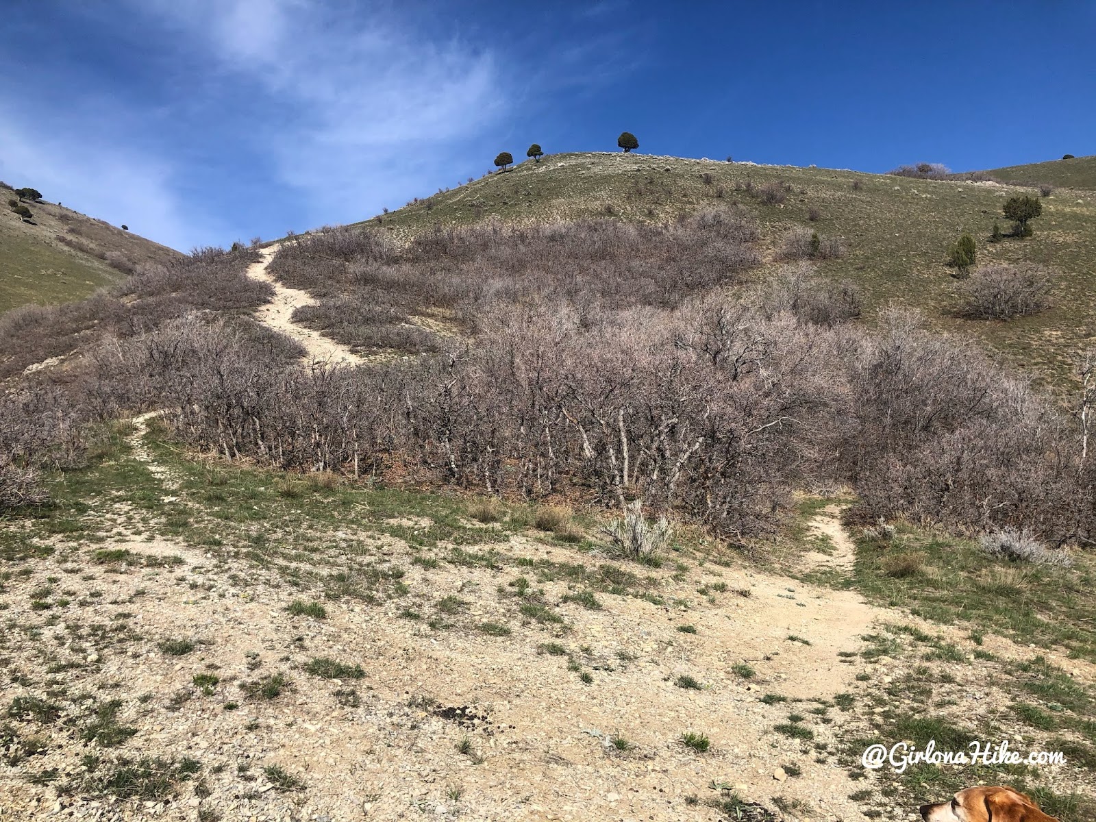 Hiking to Parley's Canyon Overlook