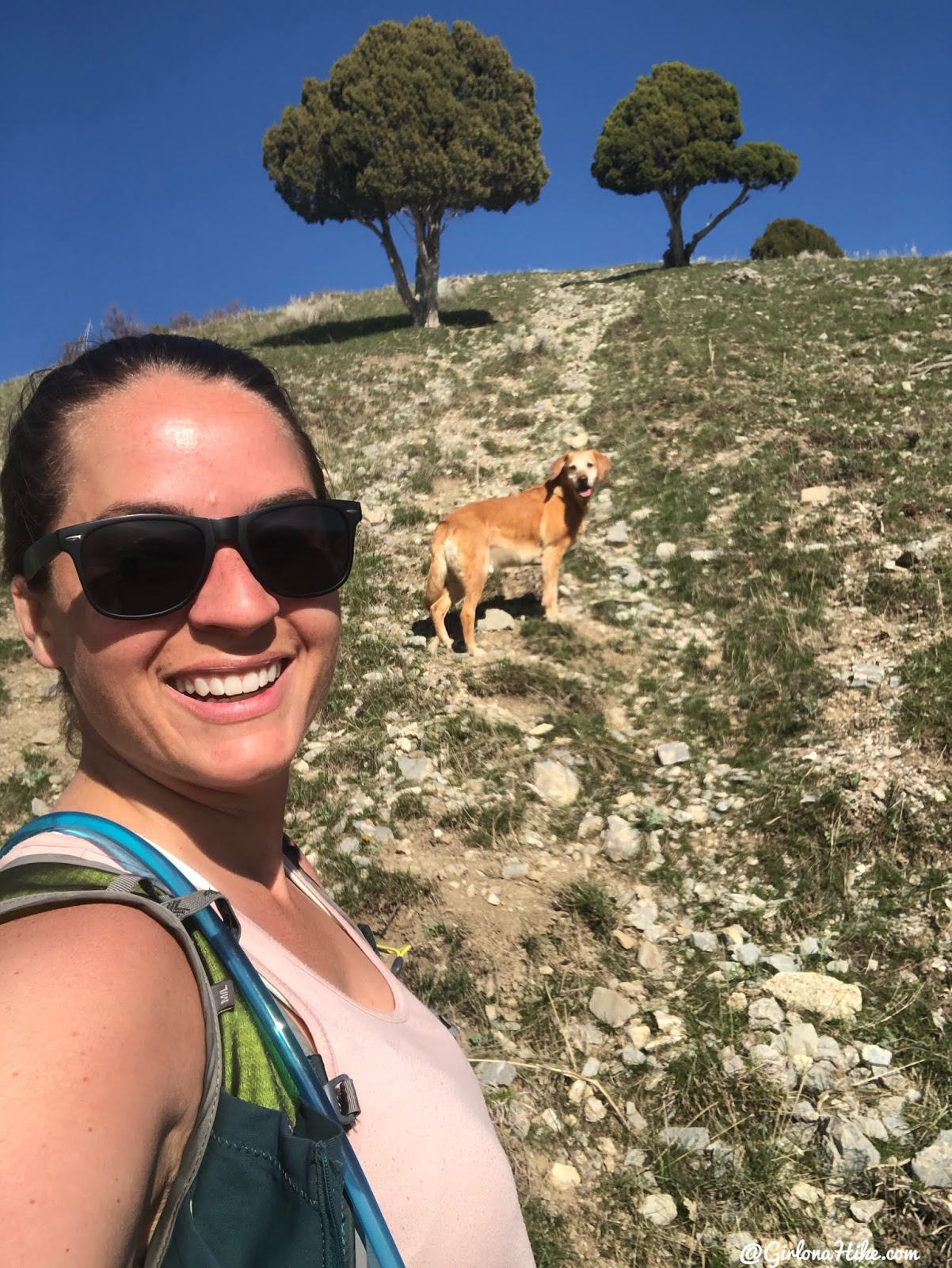 Hiking to Parley's Canyon Overlook