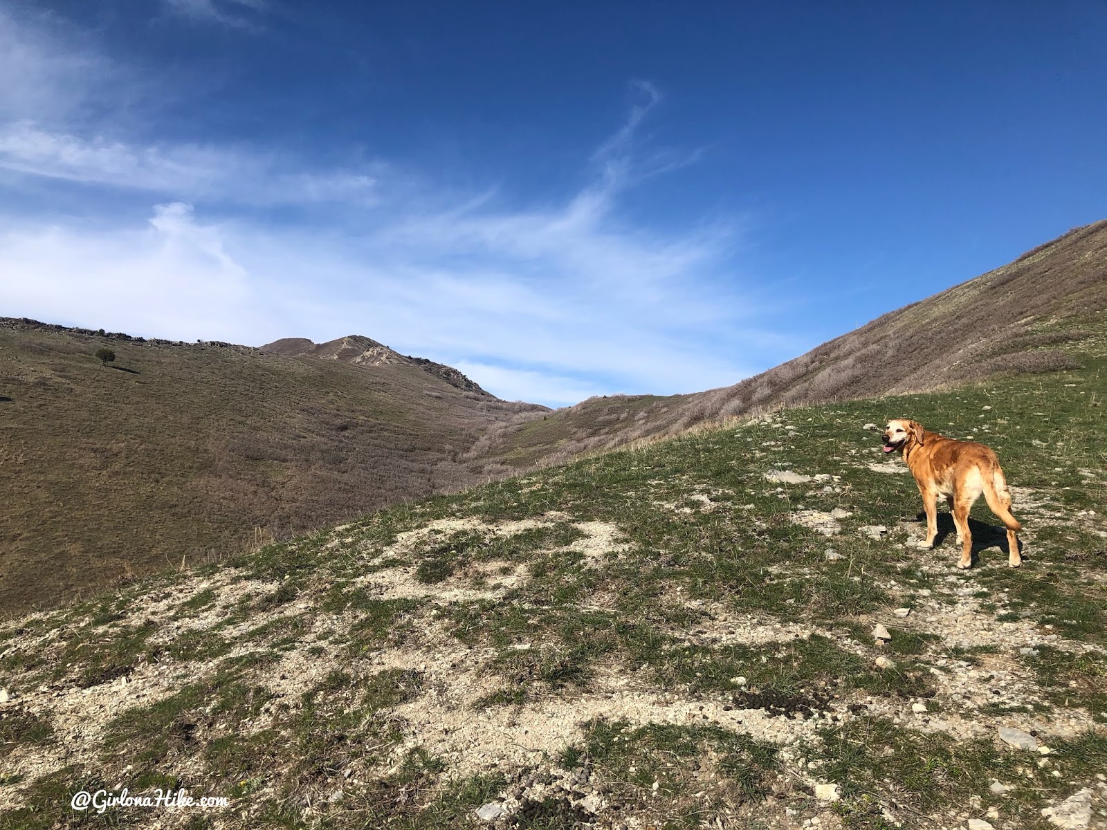 Hiking to Parley's Canyon Overlook