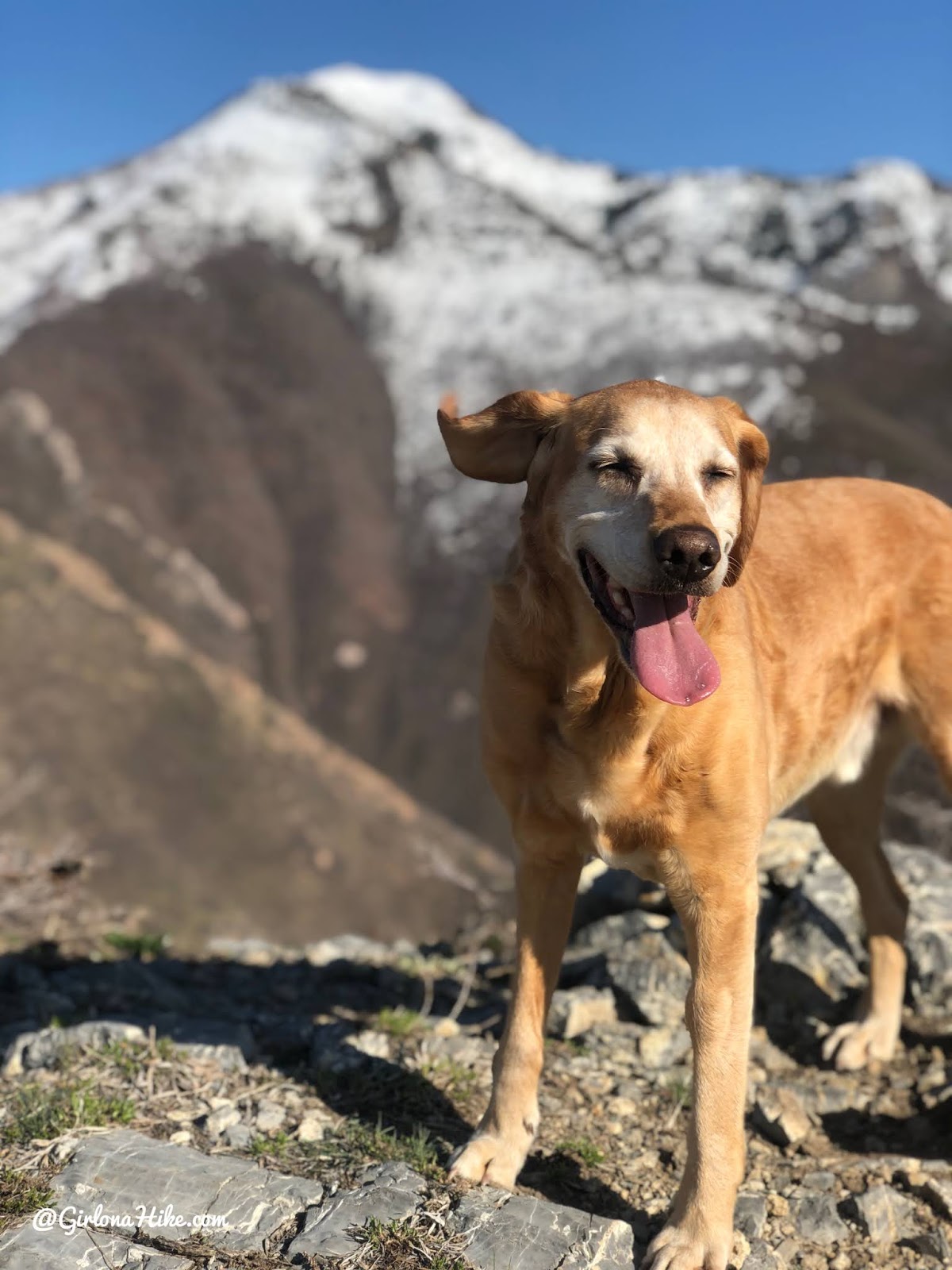 Hiking to Parley's Canyon Overlook