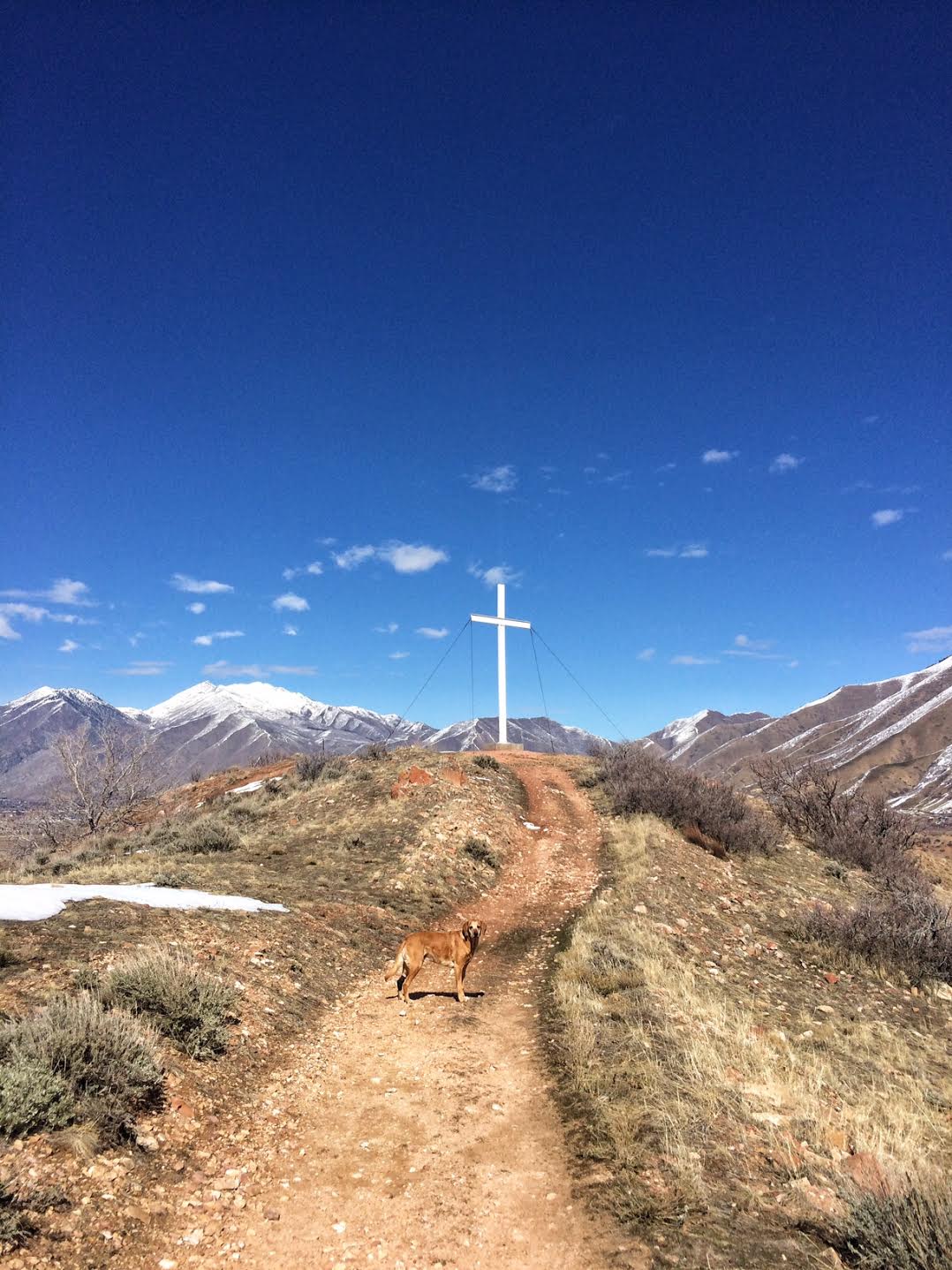 Hiking to the Spanish Fork Cross, Hiking in Utah with Dogs, Kid friendly hikes in SLC