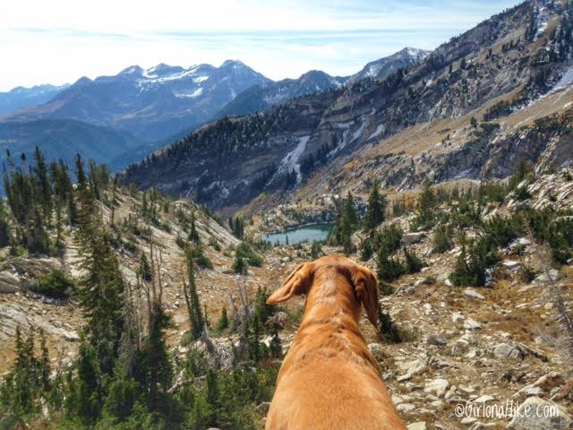 Hiking to Silver Lake & Silver Glance Lake, American Fork Canyon, Utah