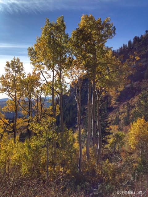 Hiking to Silver Lake & Silver Glance Lake, American Fork Canyon, Utah