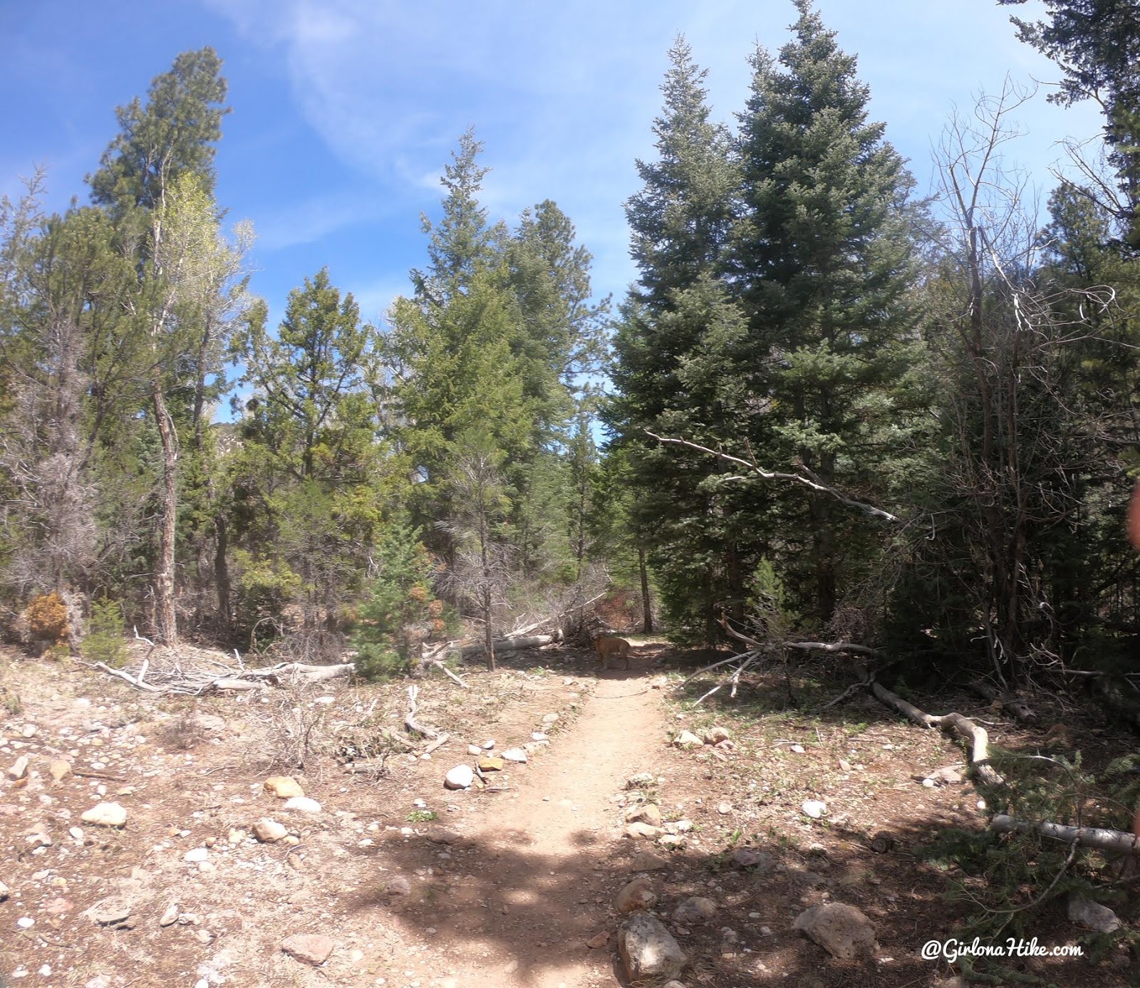 Hiking to the Hidden Haven Waterfall, Parowan, Utah waterfall, Brian Head waterfall, waterfalls in utah, waterfalls in southern utah, dog friendly utah waterfalls