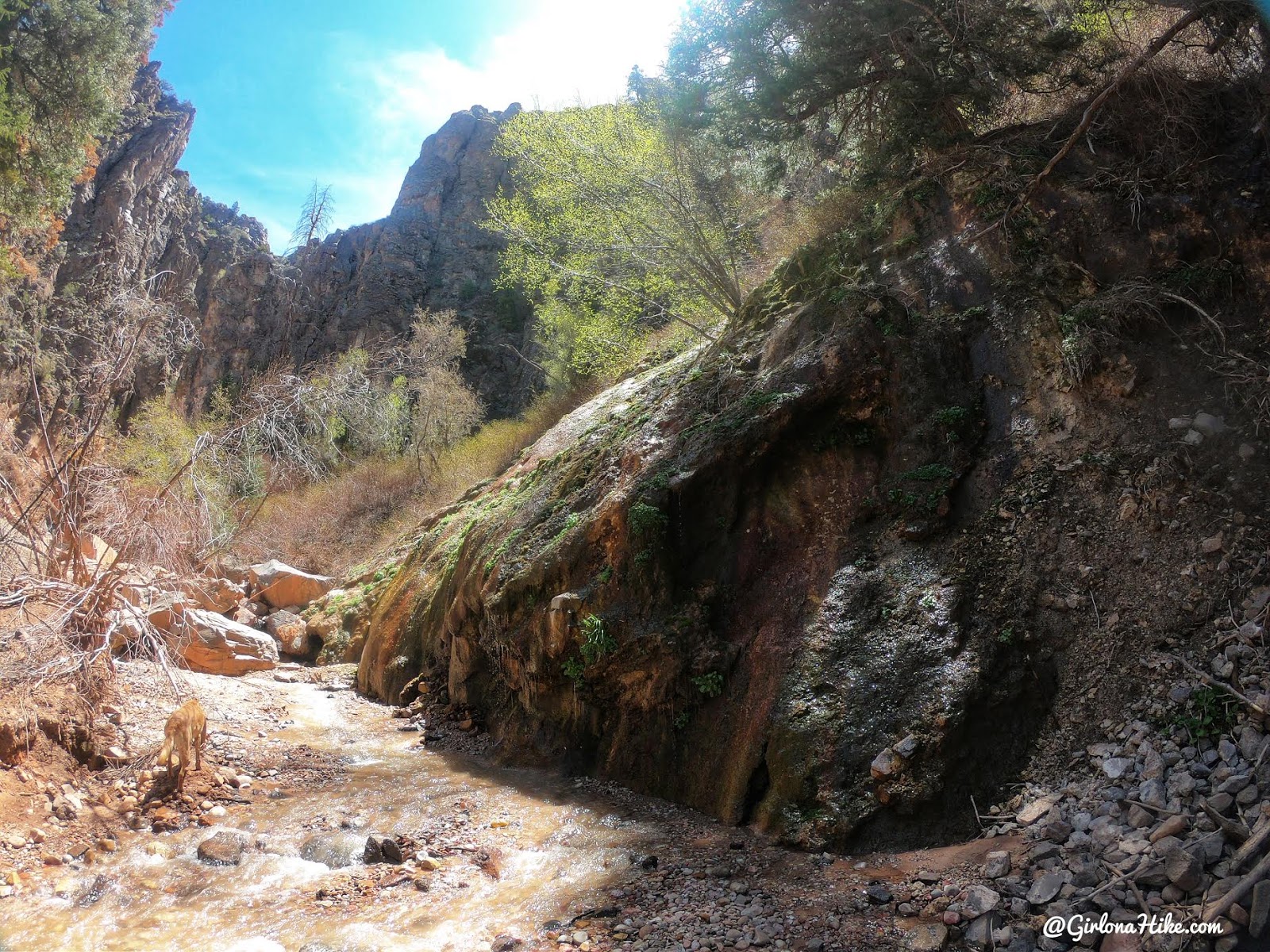 Hiking to the Hidden Haven Waterfall, Parowan, Utah waterfall, Brian Head waterfall, waterfalls in utah, waterfalls in southern utah, dog friendly utah waterfalls