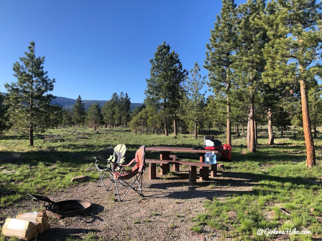 Camping & Exploring at Flaming Gorge National Rec Area, camping at Red Canyon Overlook