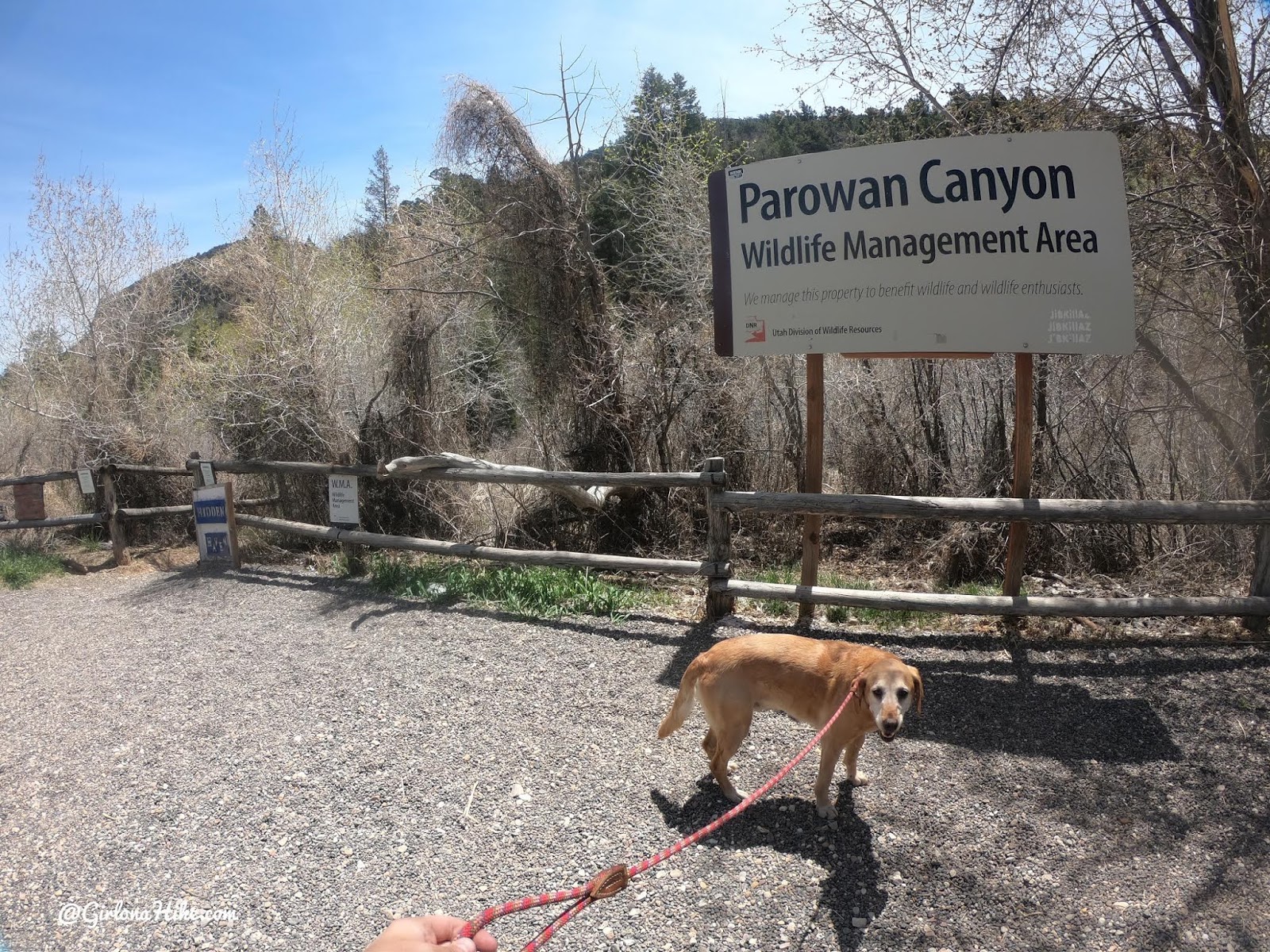 Hiking to the Hidden Haven Waterfall, Parowan, Utah waterfall, Brian Head waterfall, waterfalls in utah, waterfalls in southern utah, dog friendly utah waterfalls